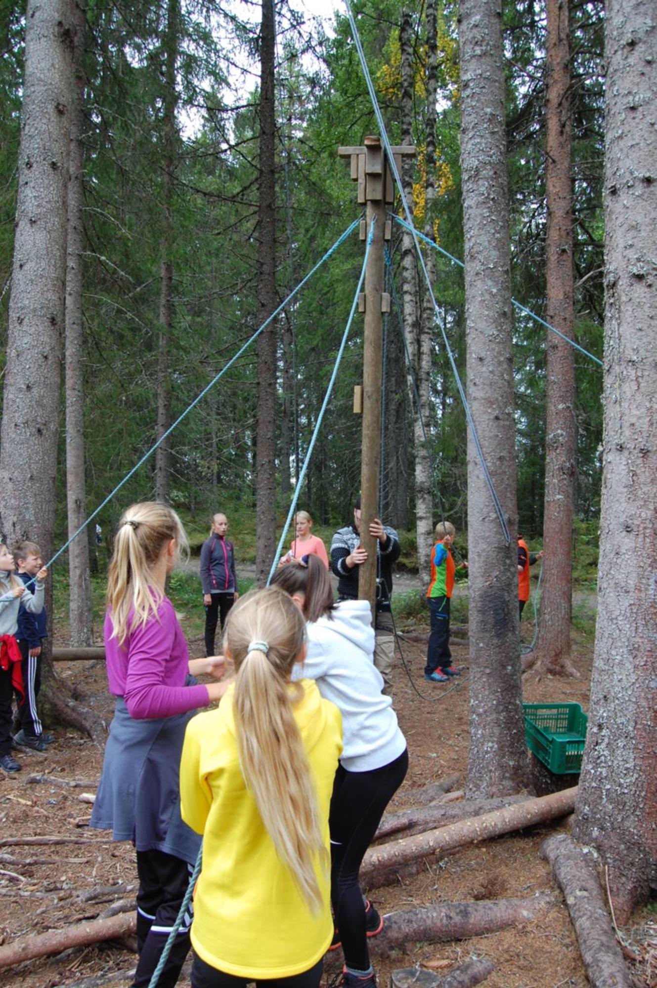 Camp Sjusjoen Hotel Mesnali Luaran gambar