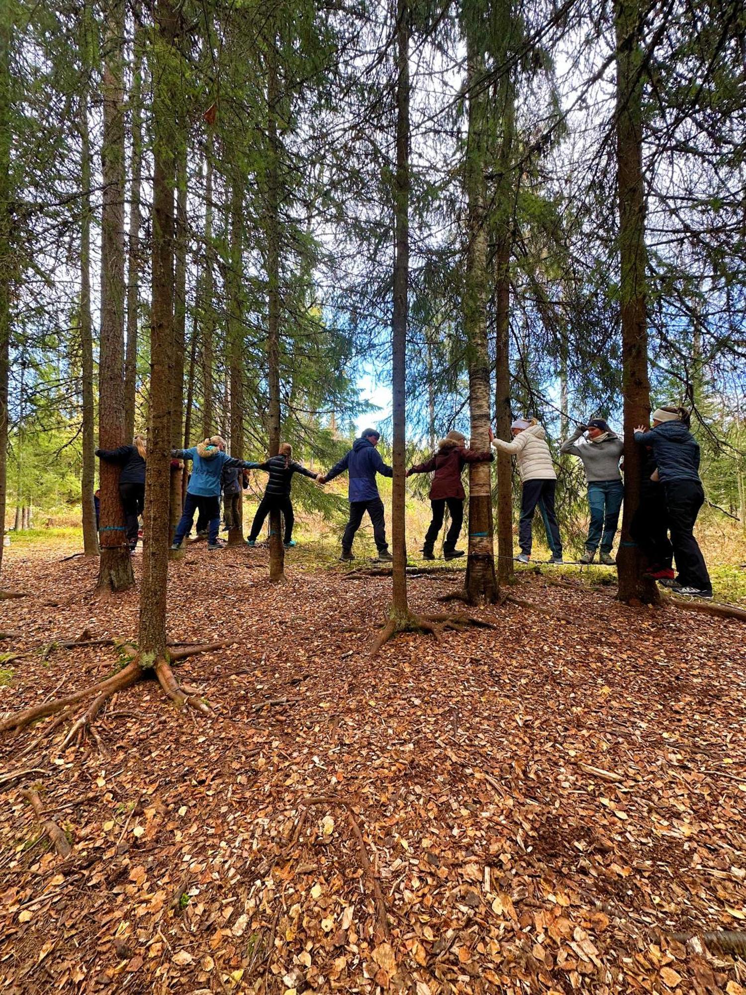 Camp Sjusjoen Hotel Mesnali Luaran gambar